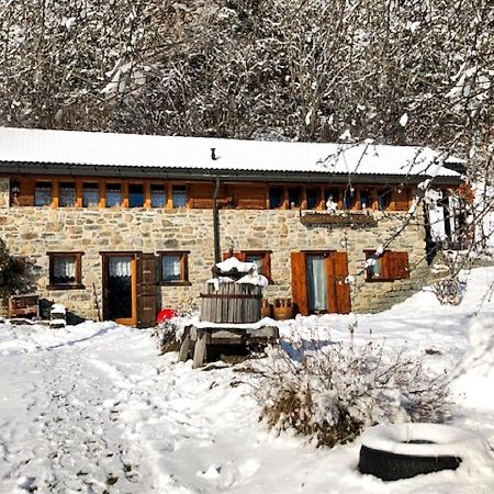 A L'Oree Du Bisse Anzère Exteriér fotografie